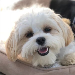 Meet your Posher, Tamara